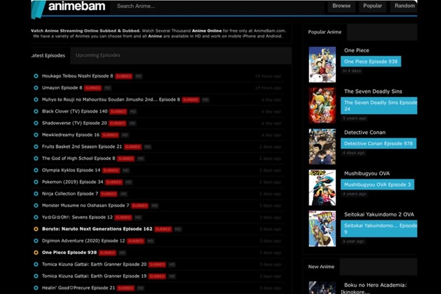 AnimeBam